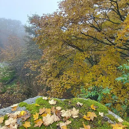 Kleiner Waldstein Weissdorf