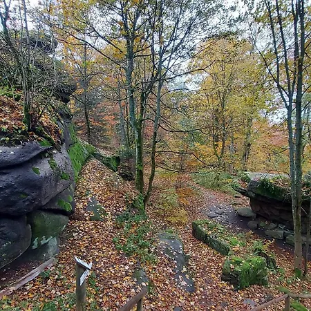 Kleiner Waldstein Apartment
